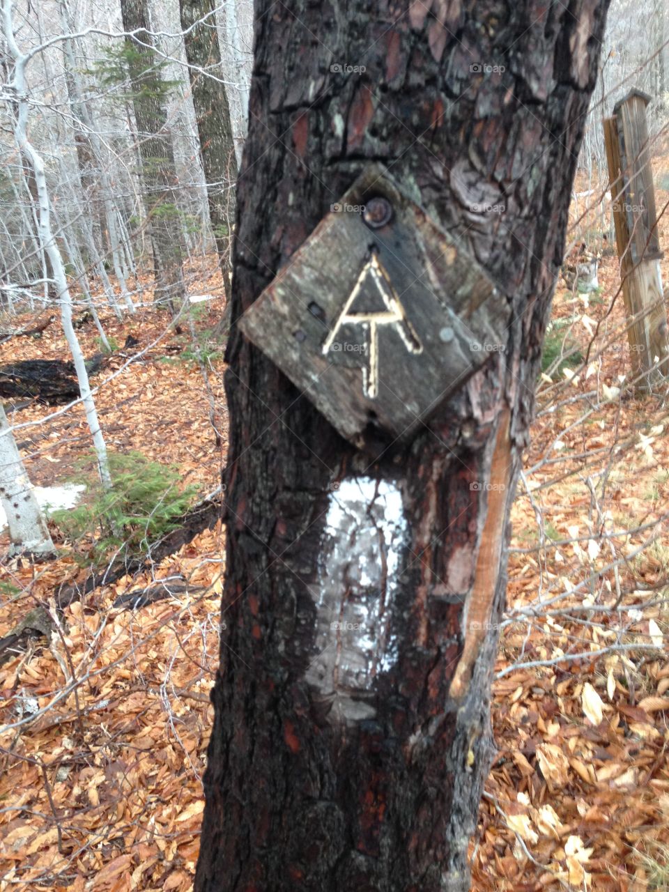 Appalachian Trail Marking