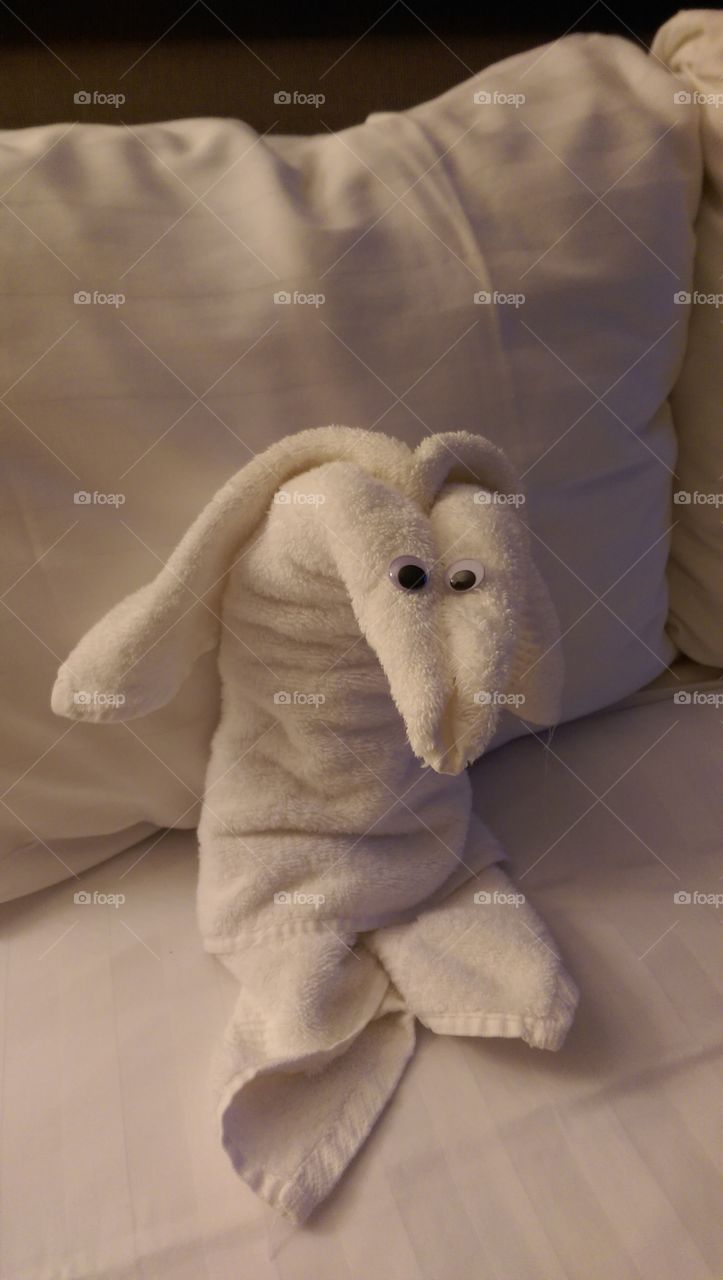 Bed, Sleep, No Person, One, Pillow