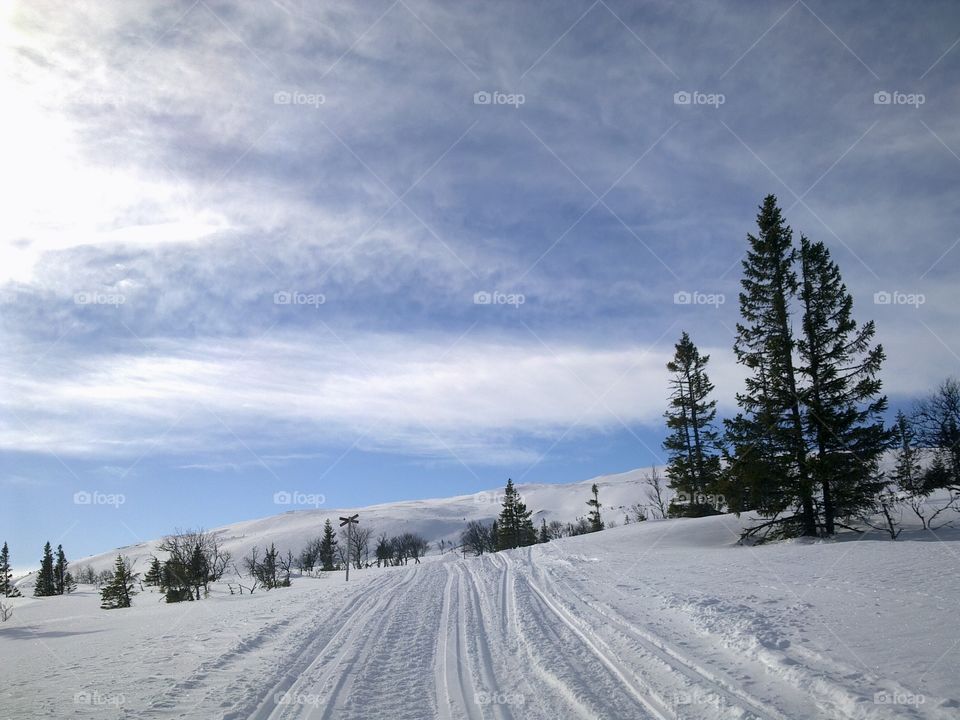 Mountain snowmobile trail!