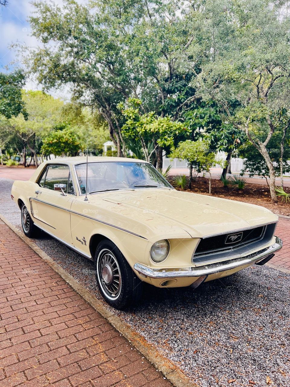 Pale yellow antique Ford Mustang parked along a tree lined brick walkway. An American classic car.