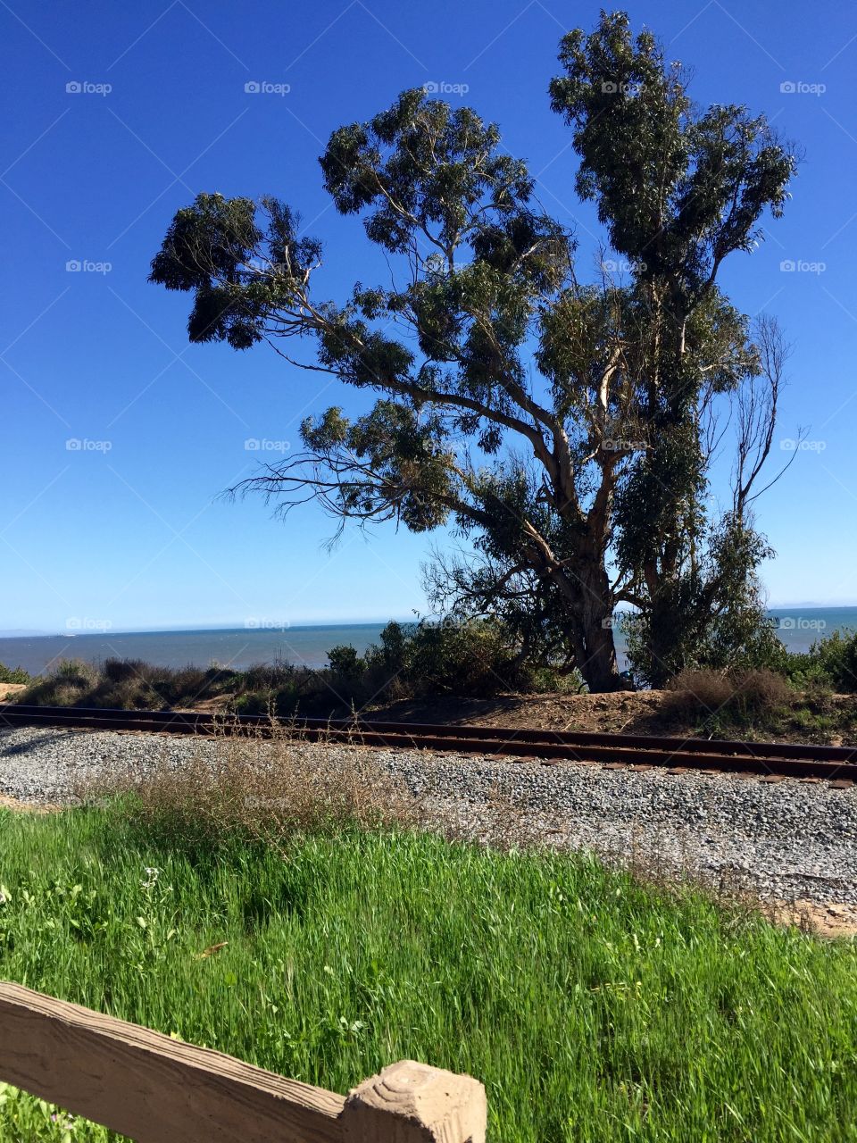 Carpinteria Bluffs Trail