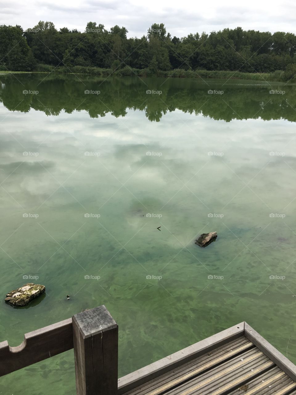 Fishing spot at lake