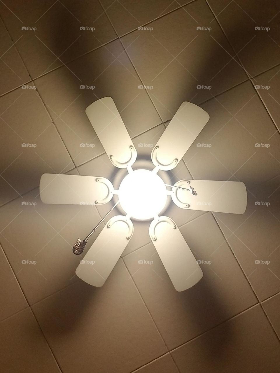 Ceiling Fan