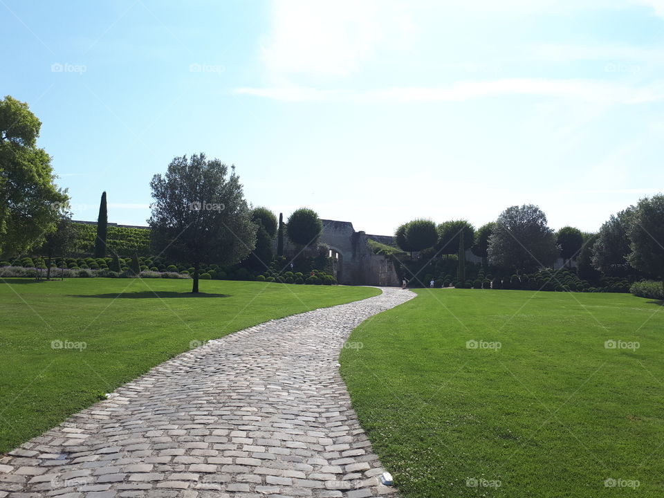 Road in the park