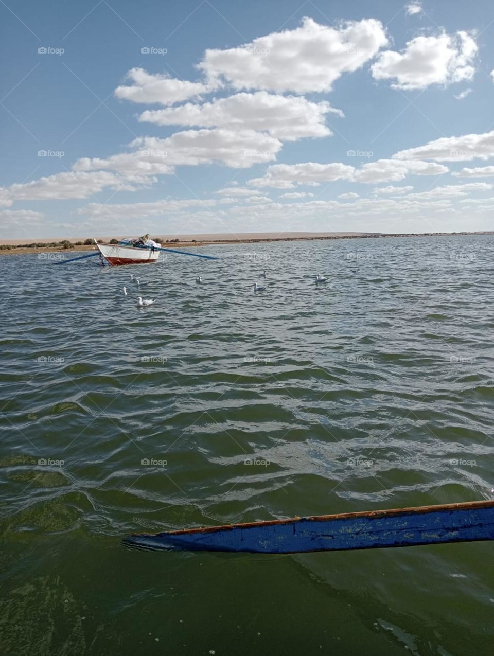 enjoy with natural , it's an amazing sky , sand , pure water 🌊  , the ship in water ❤️ birds in the water . 💥❤️😍🙈