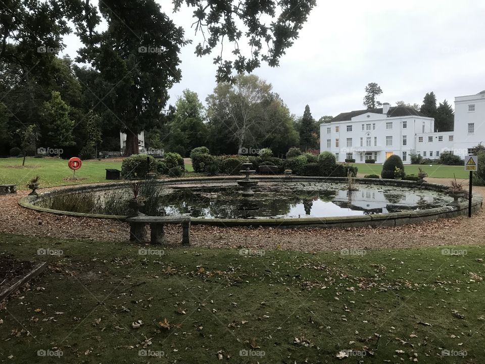 Manor House Pond