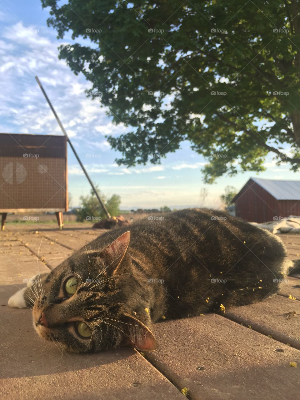 Nature, Outdoors, No Person, One, Beach
