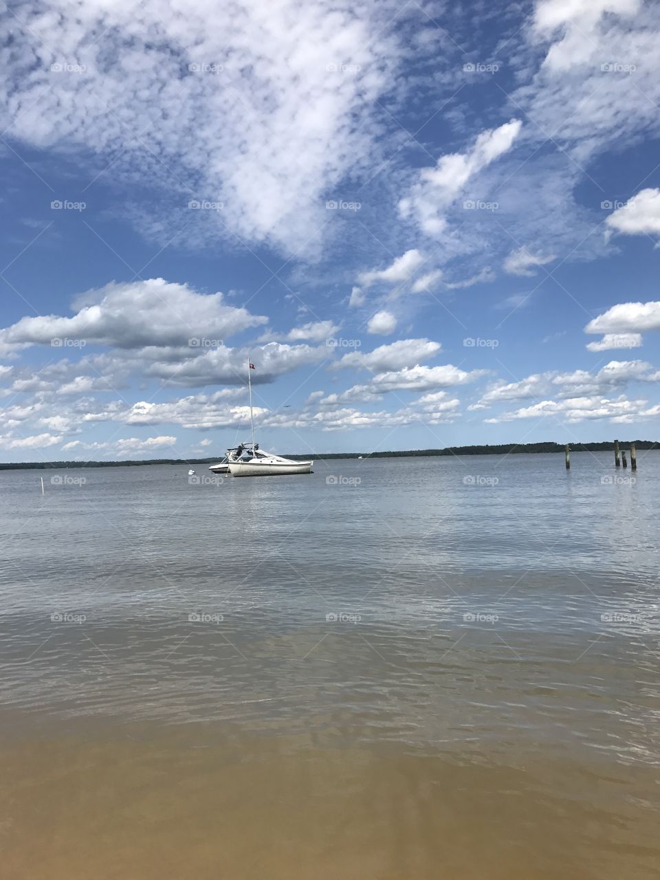 Boats on the water 