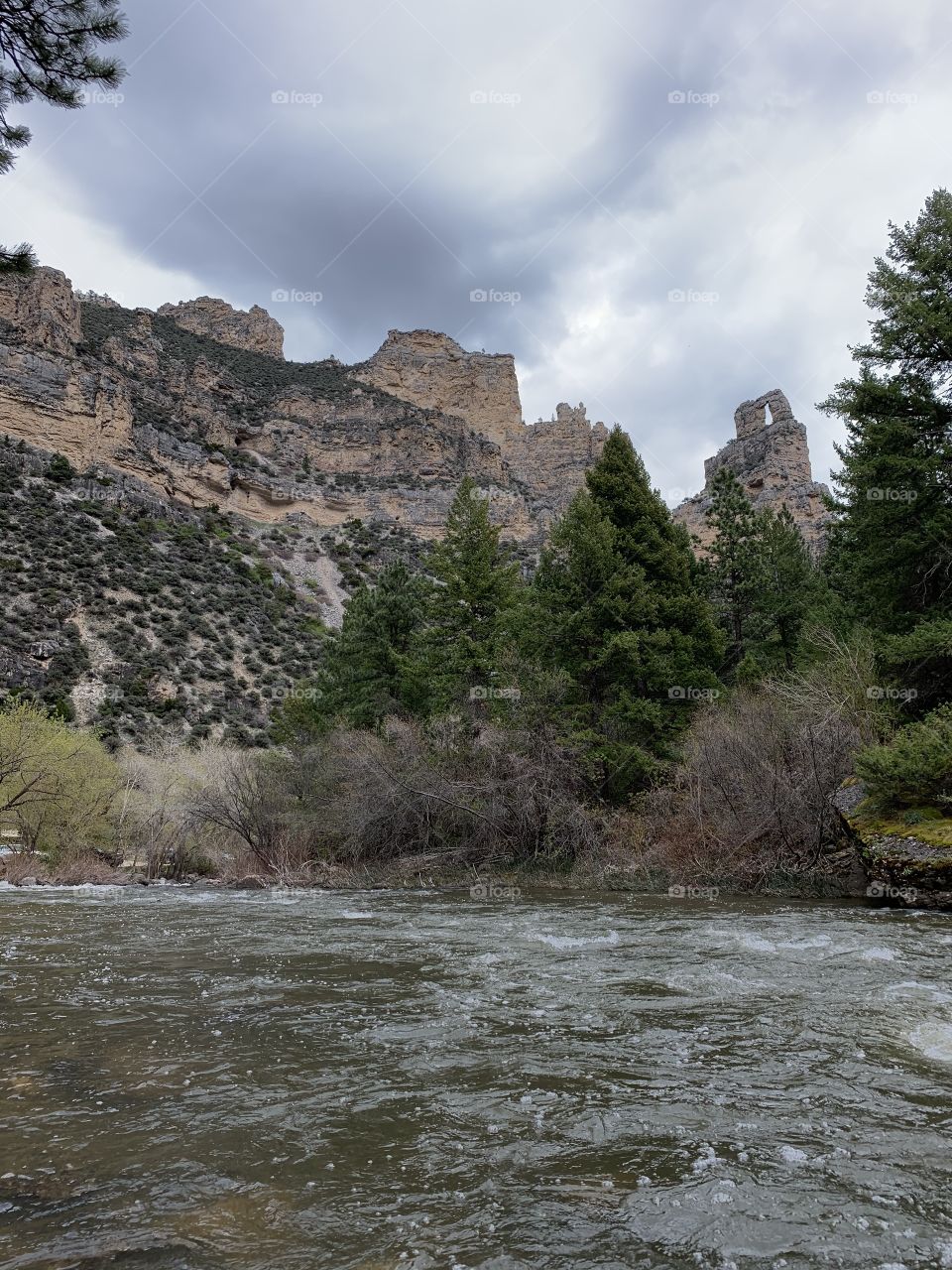 Unedited no editing nature wilderness scenic surroundings mountains Valley terrain Cliff Forest woods trees river water flowing water waves bushes bush