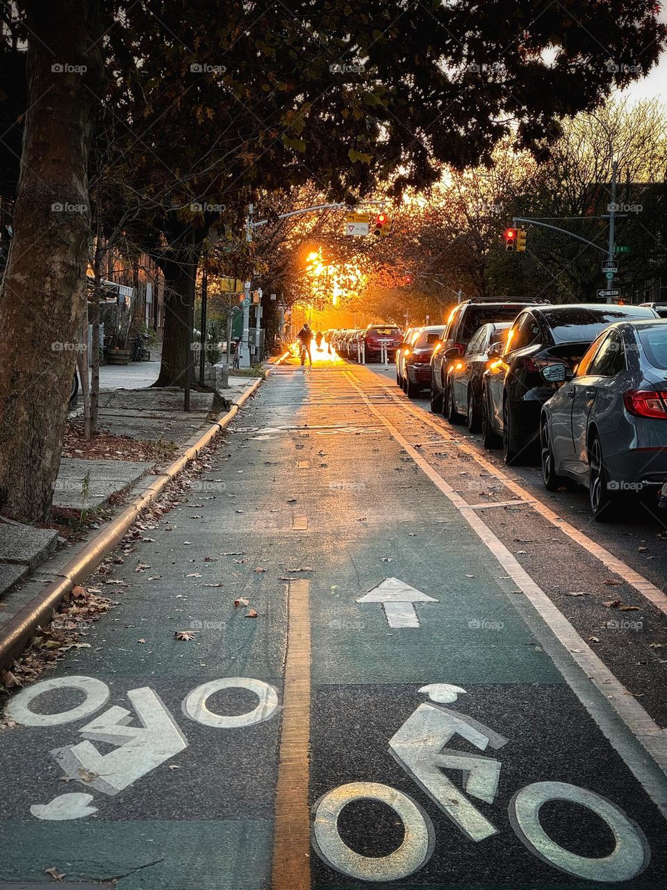 A bicycle path in the early morning light