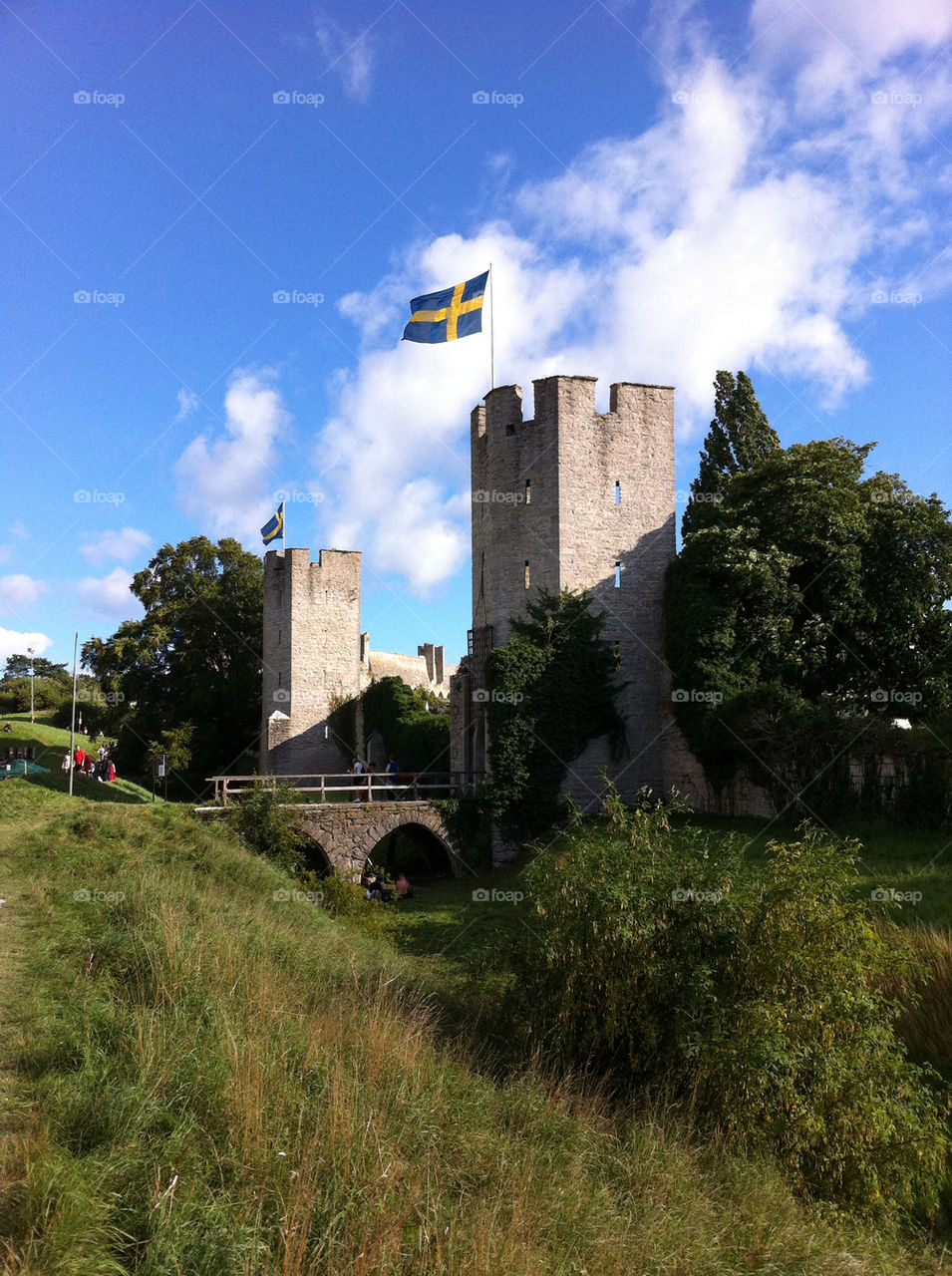 sweden grass gotland flag by hallis
