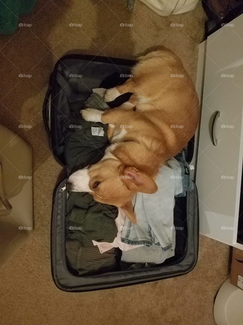 Take me with you mom