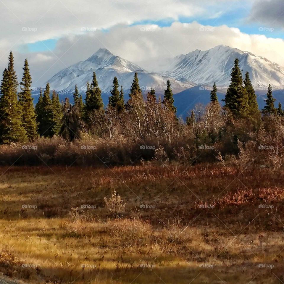 Rich Amber foliage beneath fresh snow covered peaks in Canada's Yukon Territory.
