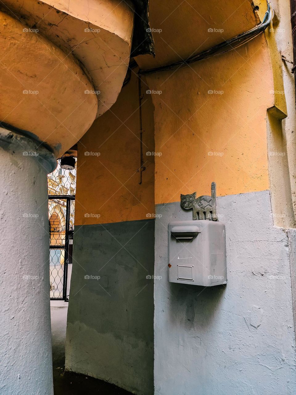 mailbox with a cat