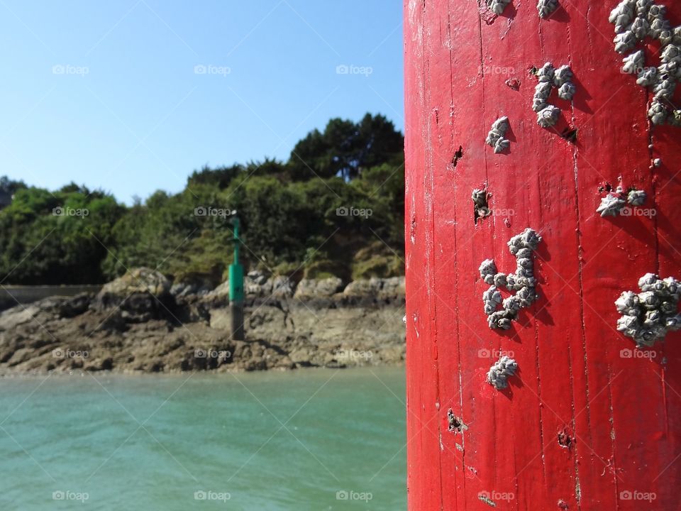 Port Hand Mark. This port mark nicely encrusted with barnacles was at the entrance to Dahouet