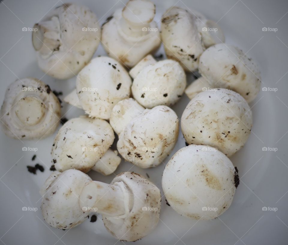 White mushrooms 