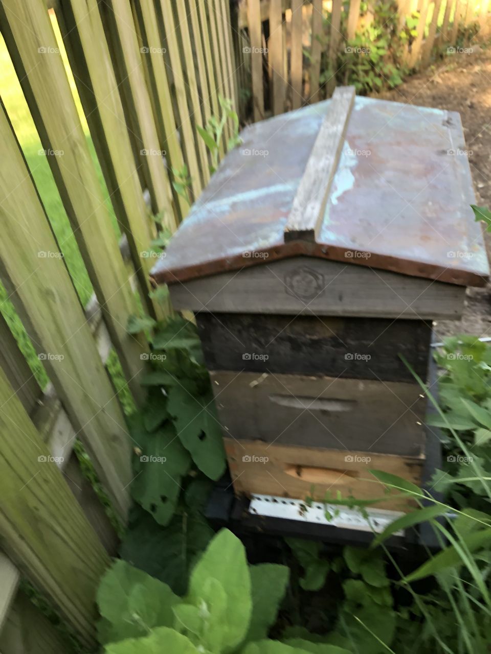 Garden hive, hive, beehive, copper, bees, honeybees, garden