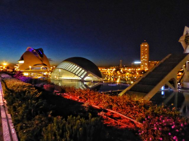 Arts and sciences 
