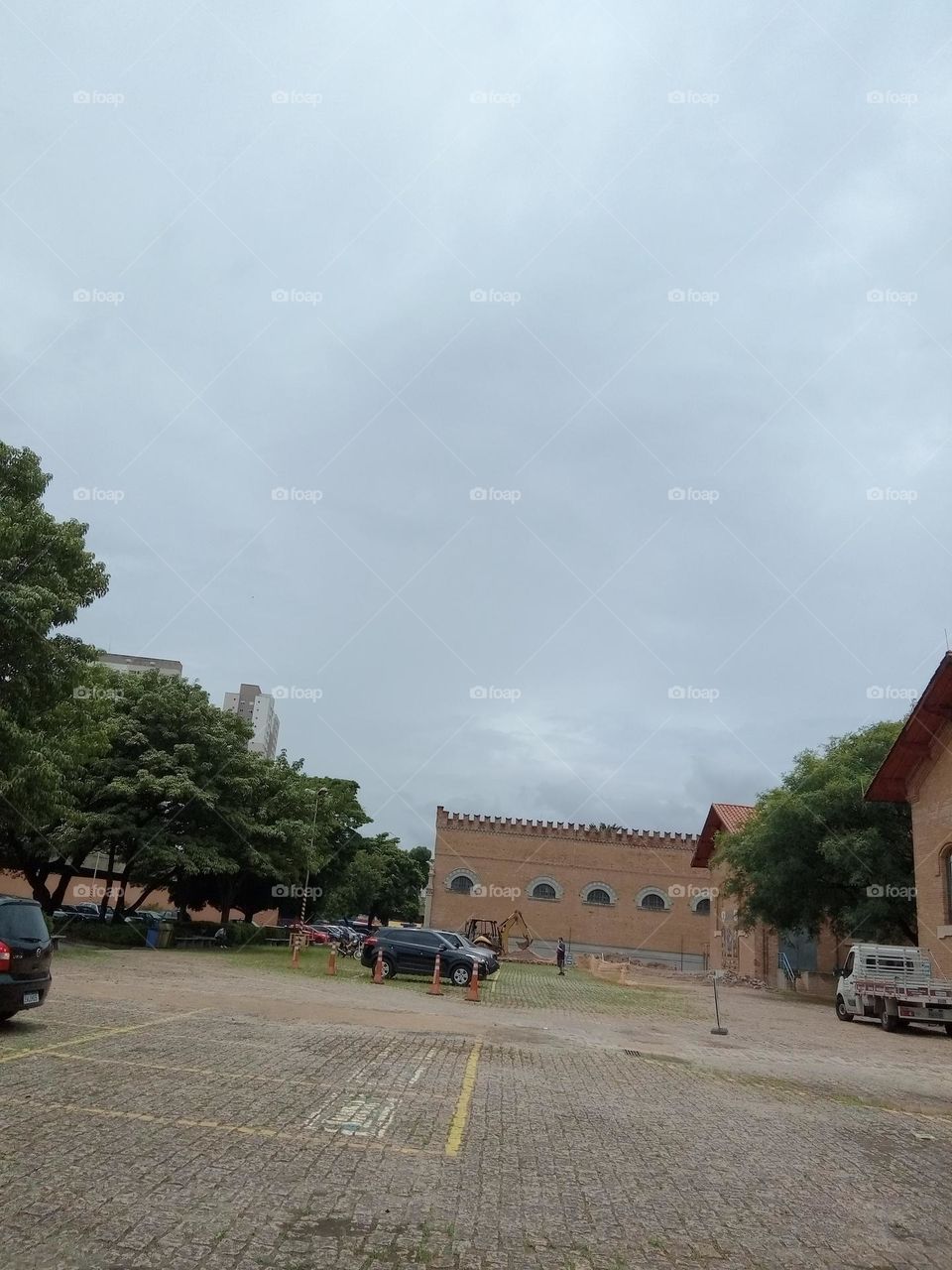 Editors'Choice Photo of the week  O encontro da natureza, a moradia e o automovel