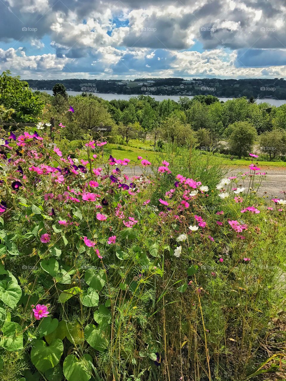 Keuka lake