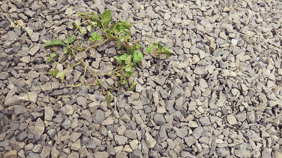 constructio meterials