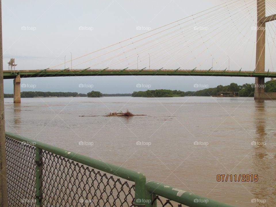 Tornado debris floating in the Mississippi River 