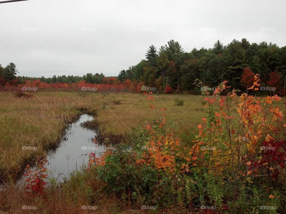 October fall foliage