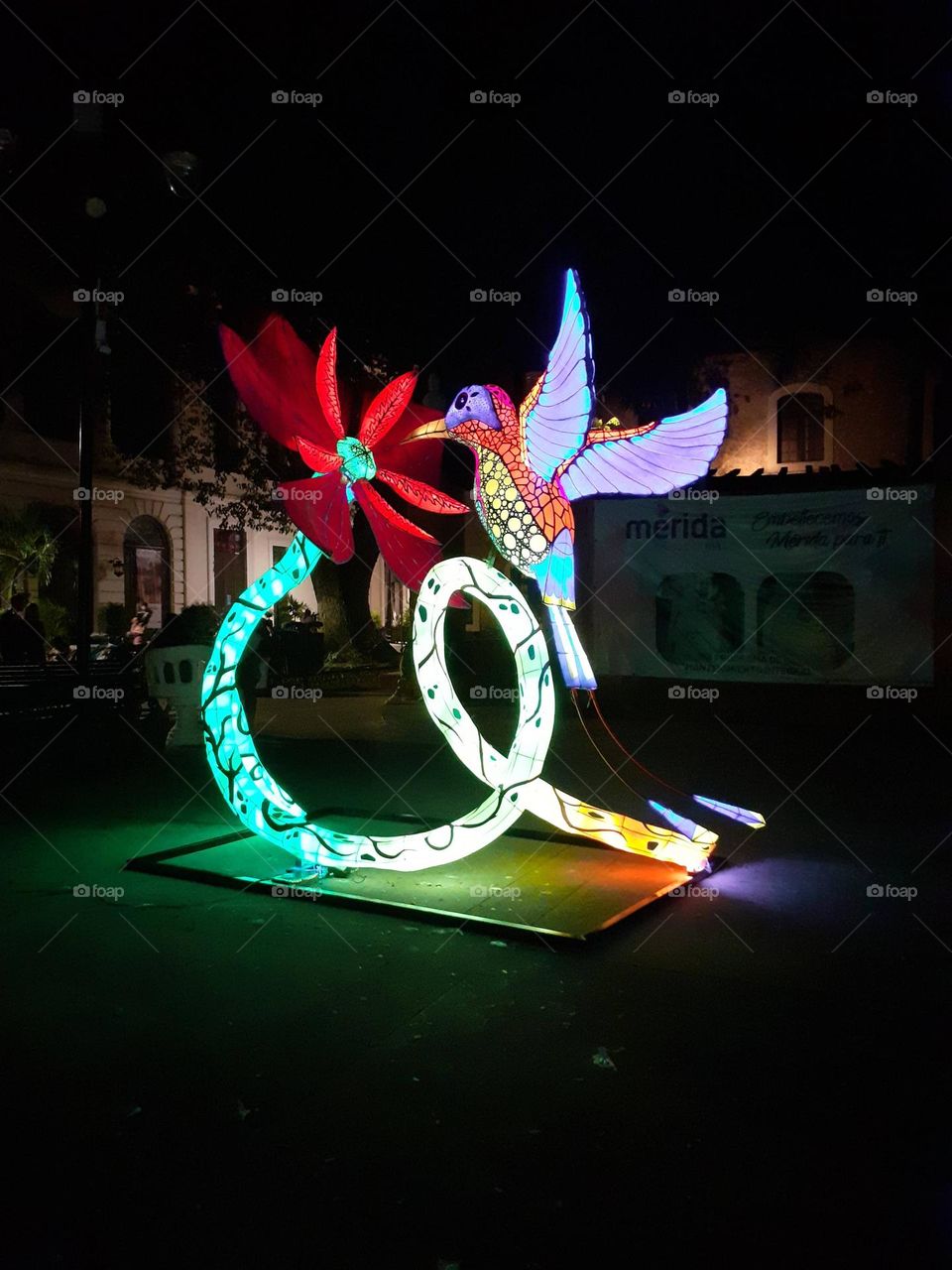 muestra artística en la calle de noche