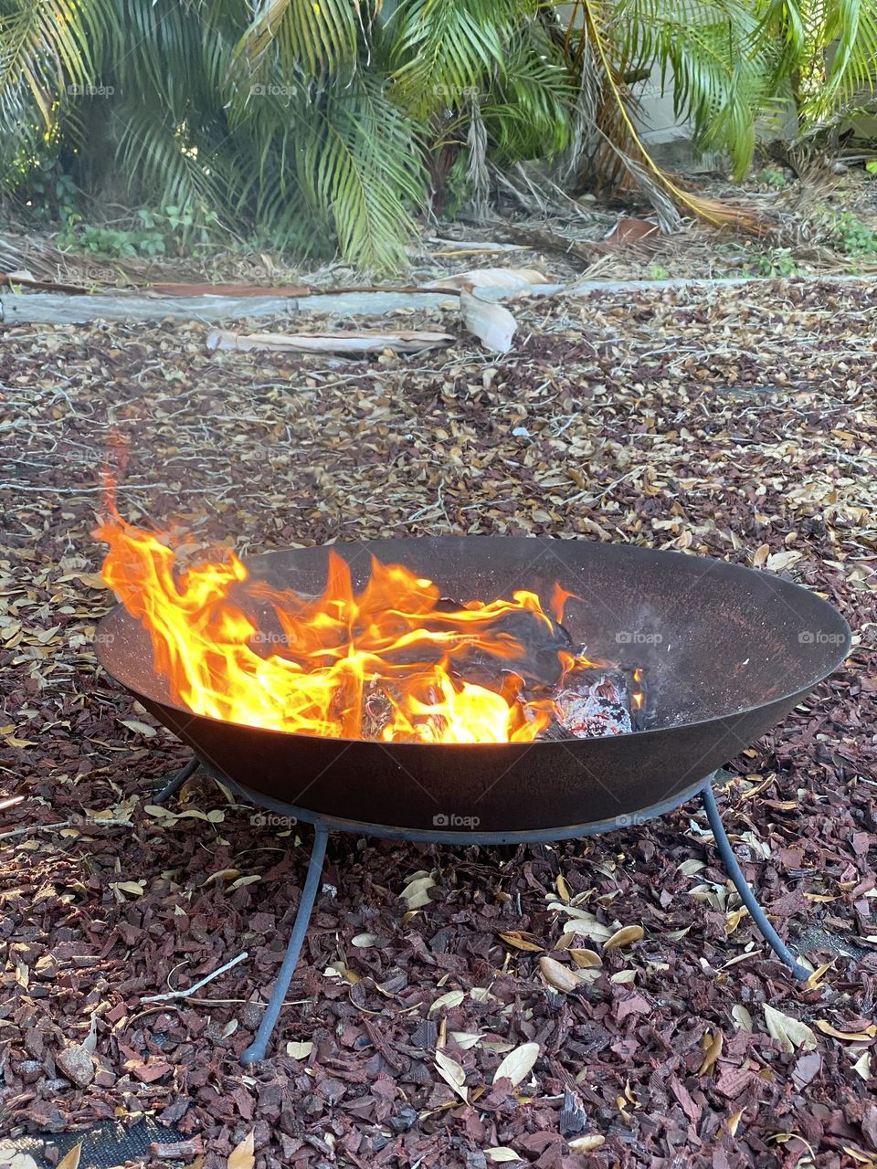 A orange glow fire burns in a fire pit in a Florida backyard. The flames glow off to one side as the wind blows.