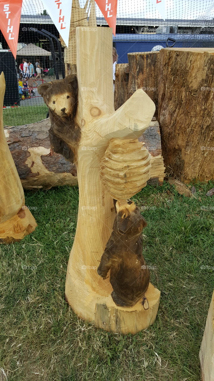 Honeybear Chainsaw Carving