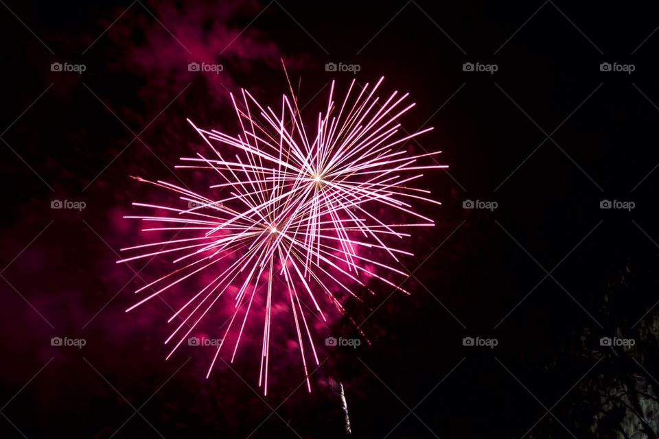 Low angle view of pink fireworks