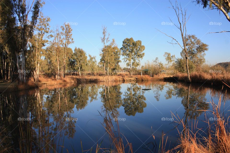 great fishing spot