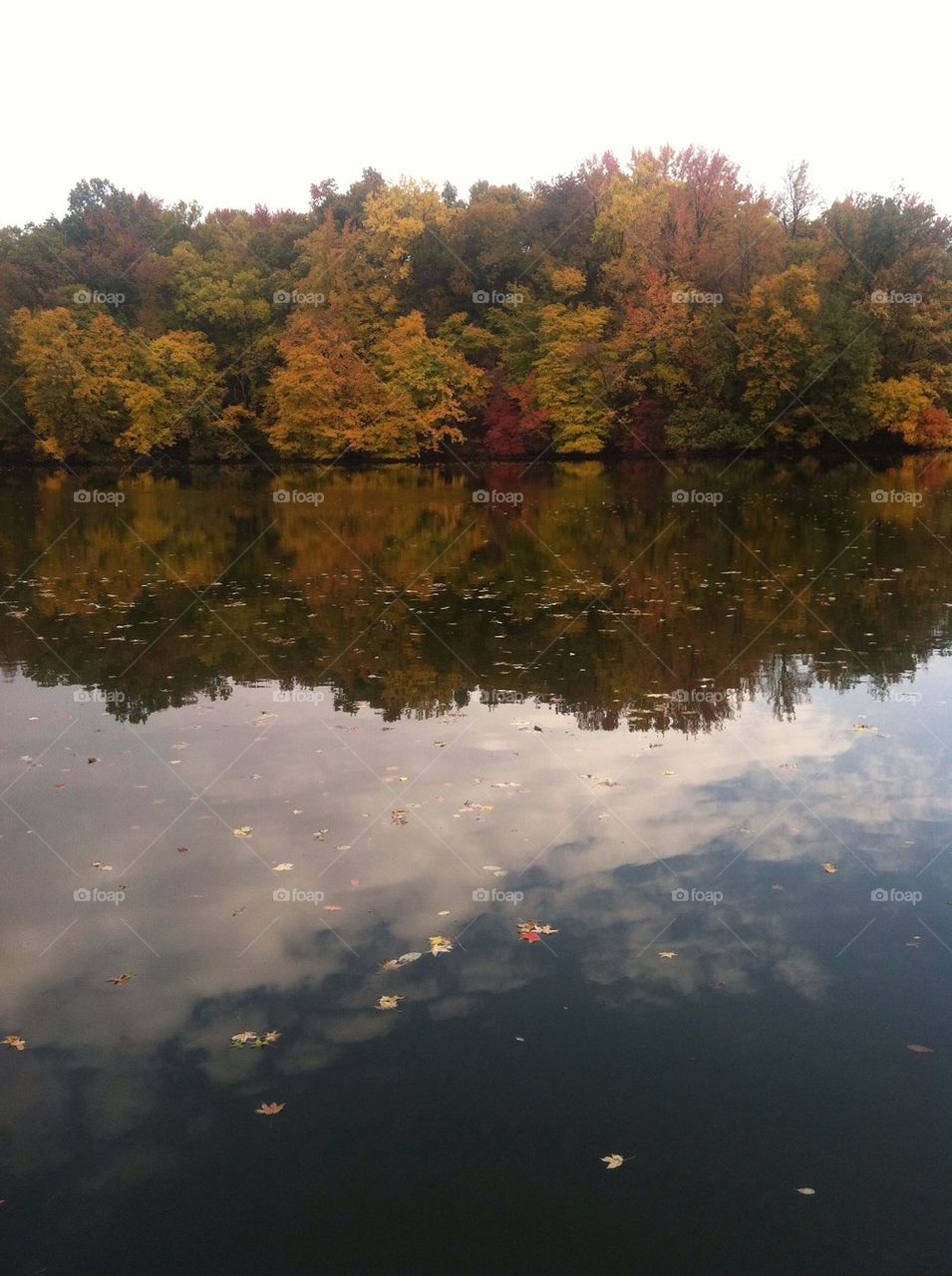 Reflecting fall