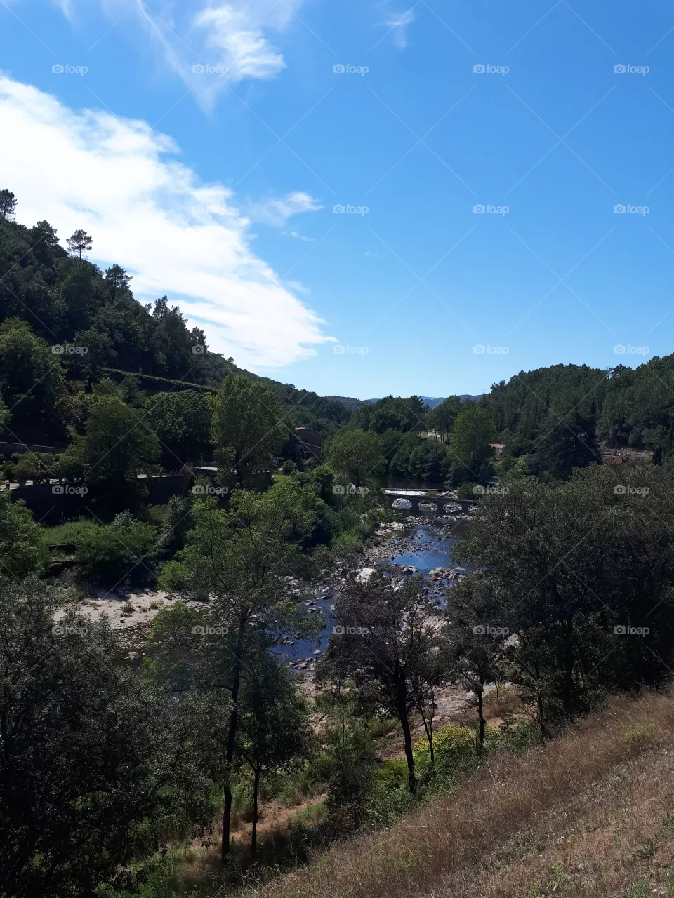 nature