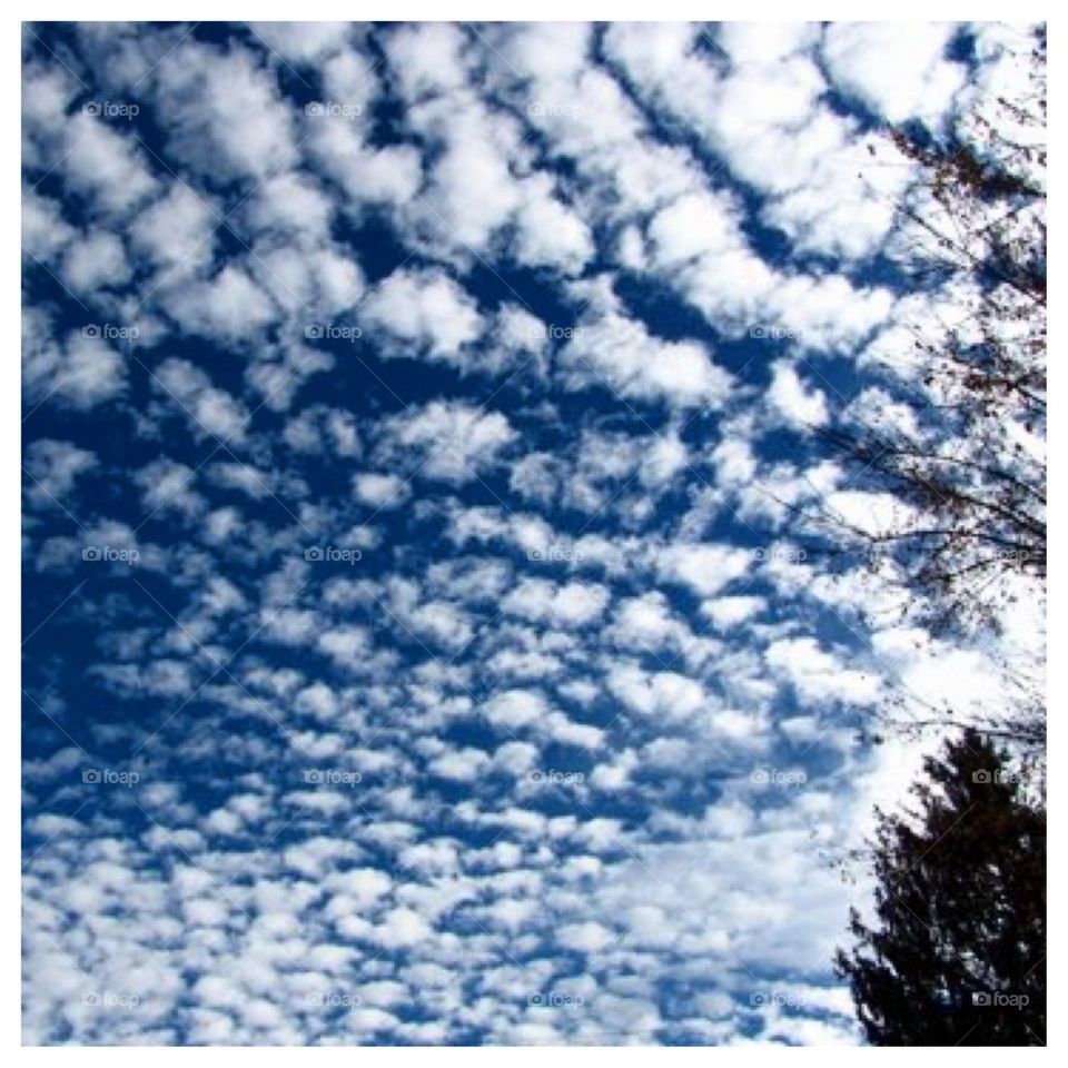 Blue Sky, Fluffy Clouds