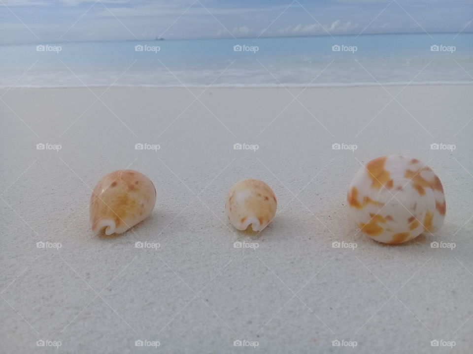 _Vacation to Maldives_Island life