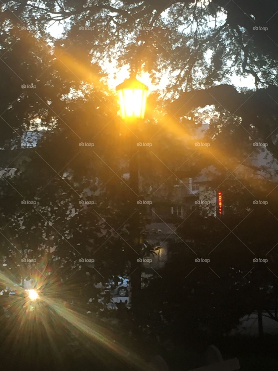 Street lamp chasing away the dark