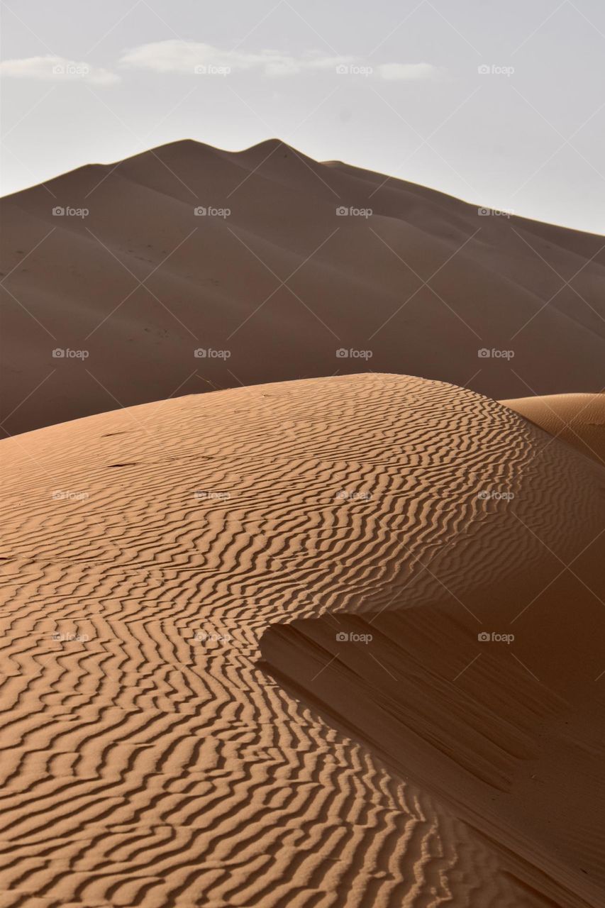 Desert Morocco 