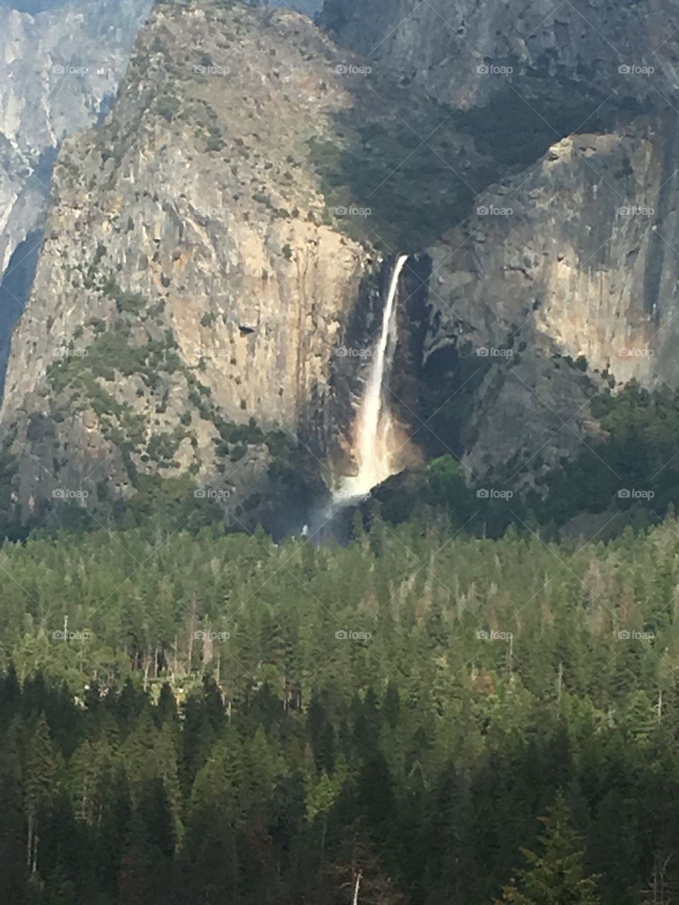 Yosemite Tunnel View 