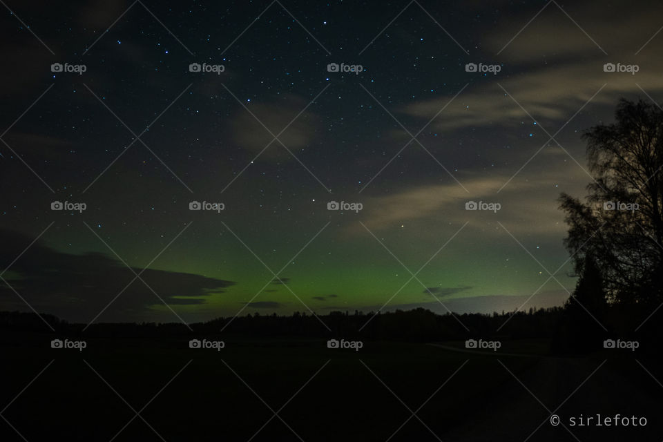 The magical green lights of aurora borealis