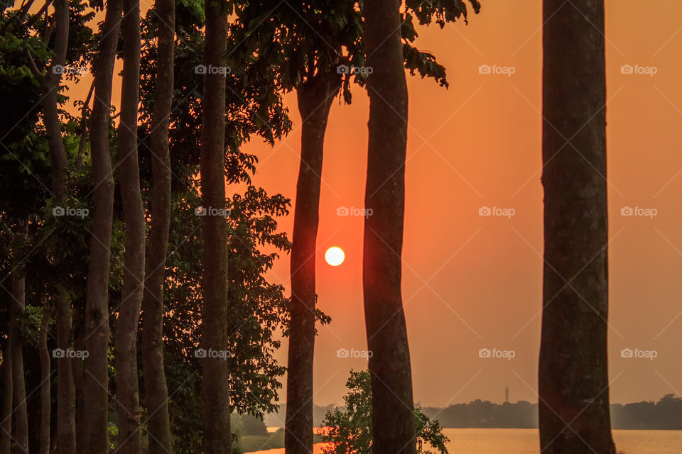Hazy Sunset through treeline. Sun lighting in the evening. Golden hour view of rural india city. Nature landscape photography.