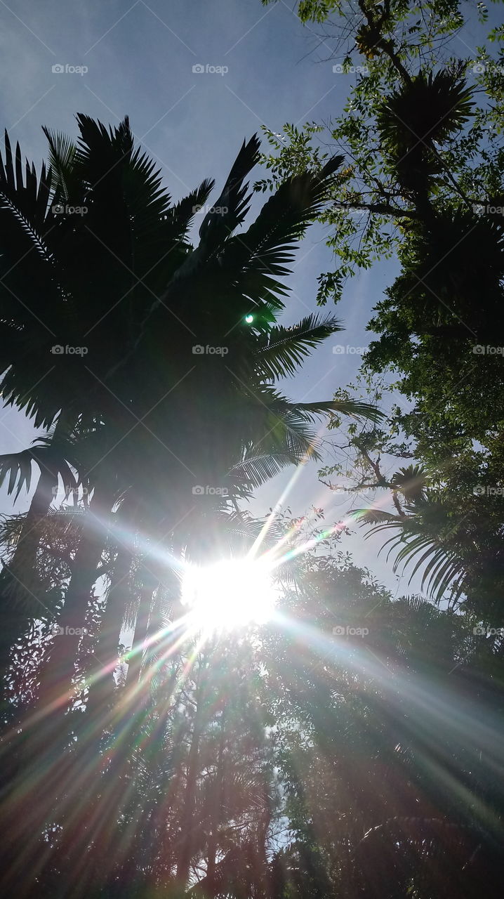 Lántiān, shùmù, zhíwù, zìrán shì měilì de, měi yīgè fēngjǐng dōu shì mírén de.