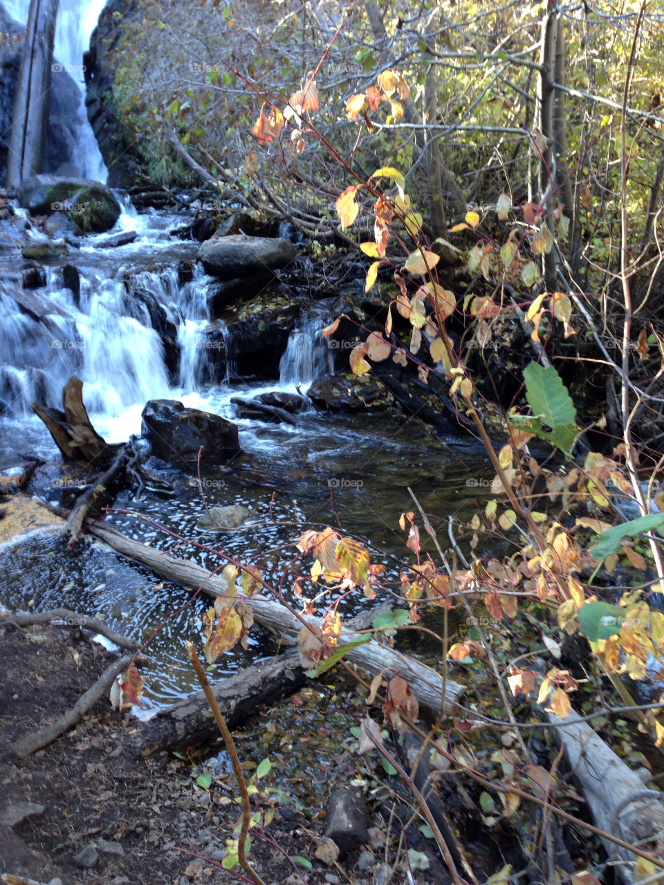 water autumn hike nevada by melody