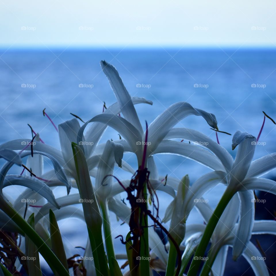 By the sea with a soft blue sky