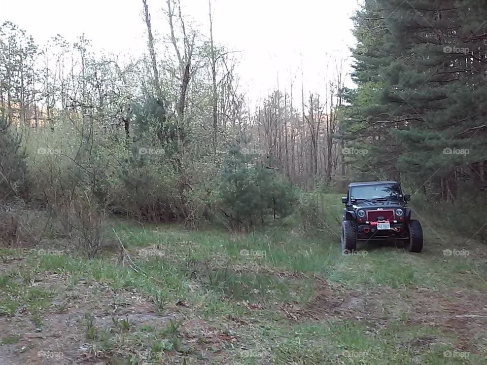 potts cove jeep