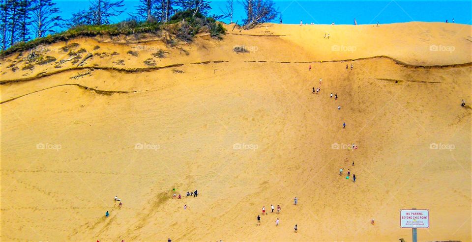 Large sand dune..Oregon coast