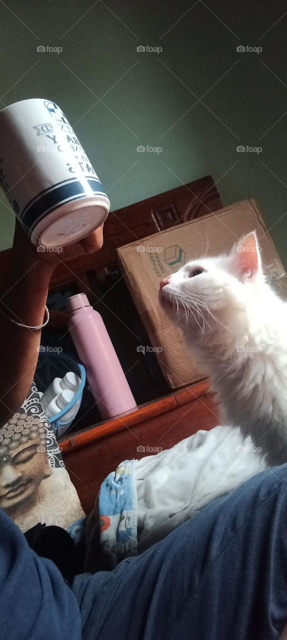 please give me I also want a sip of it