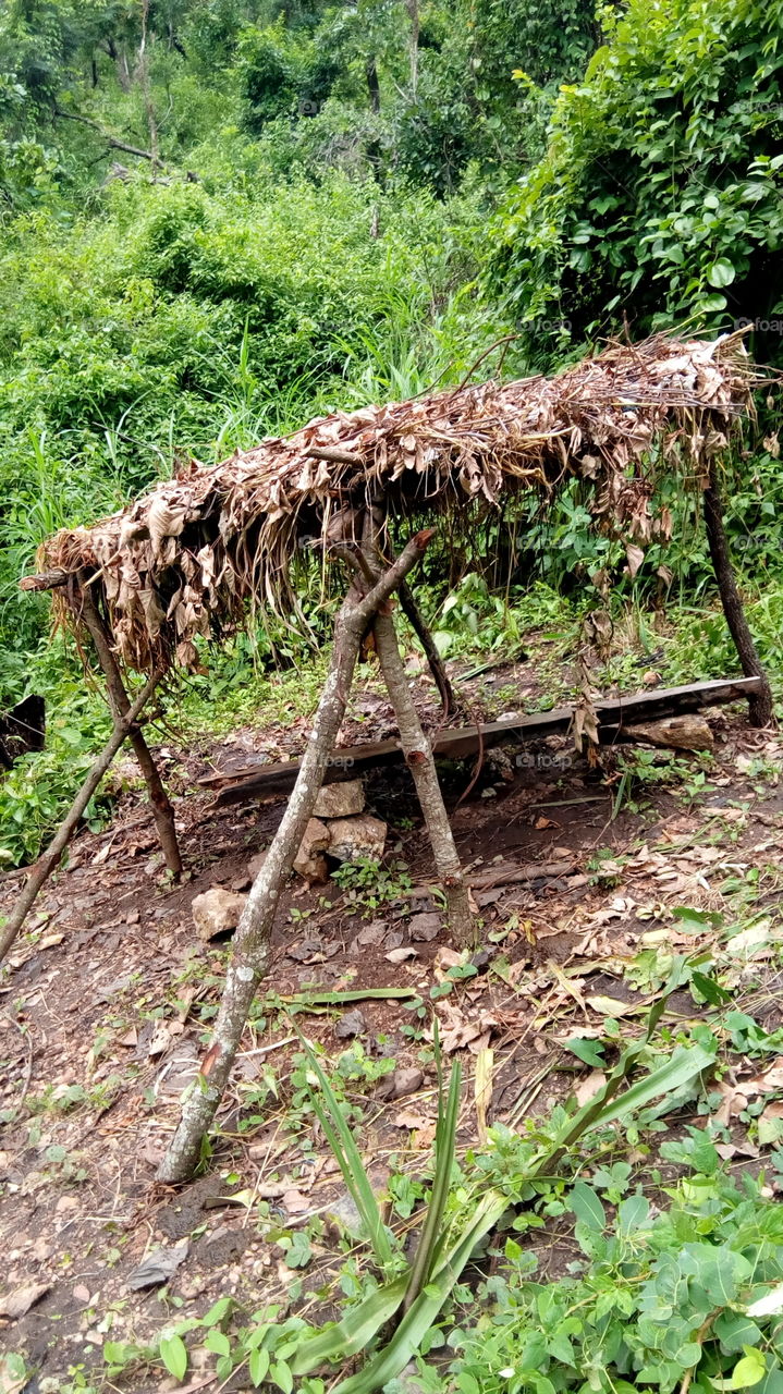 hut for shade in the bush