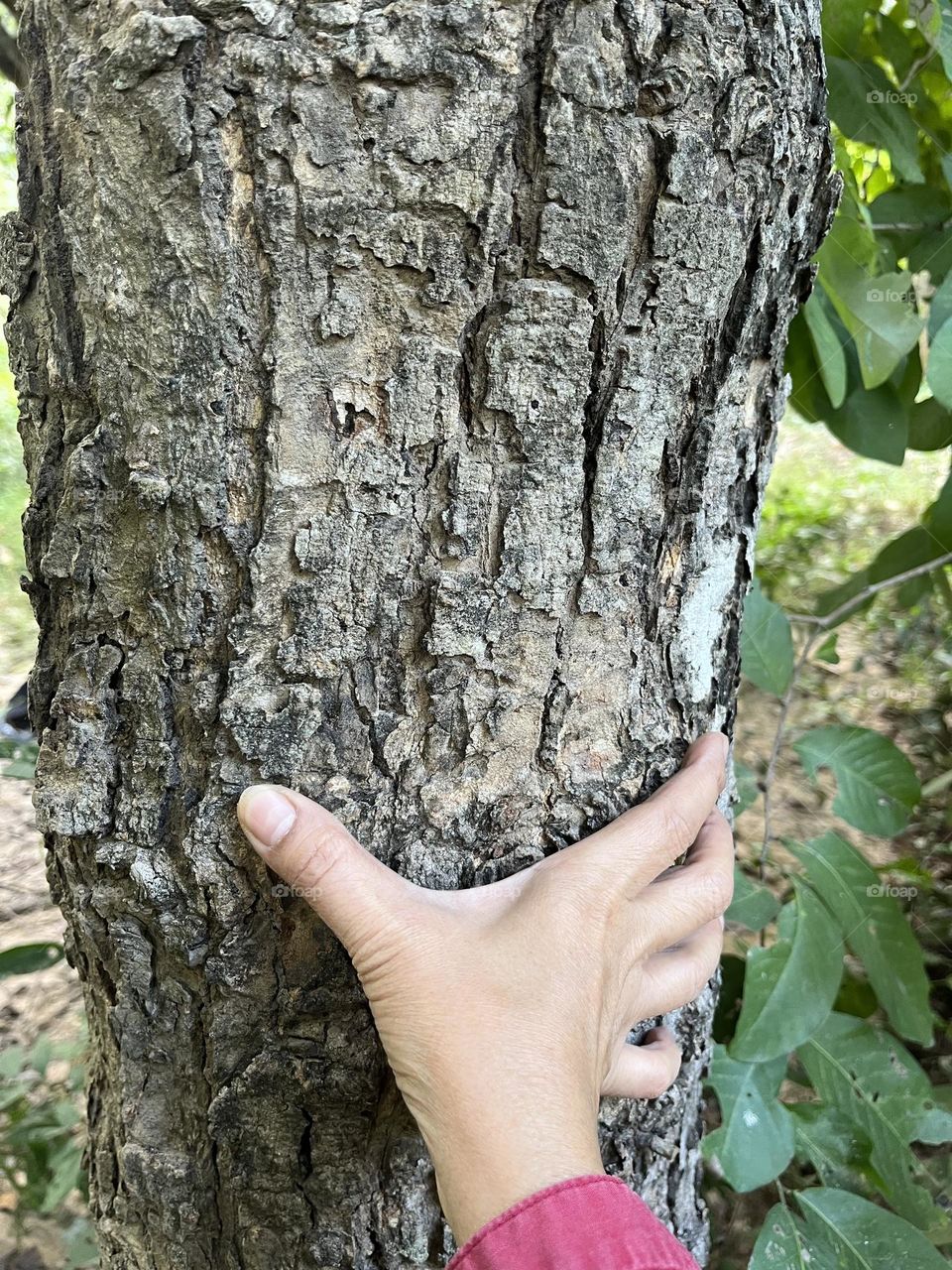 Battle : Wood vs.Metal.