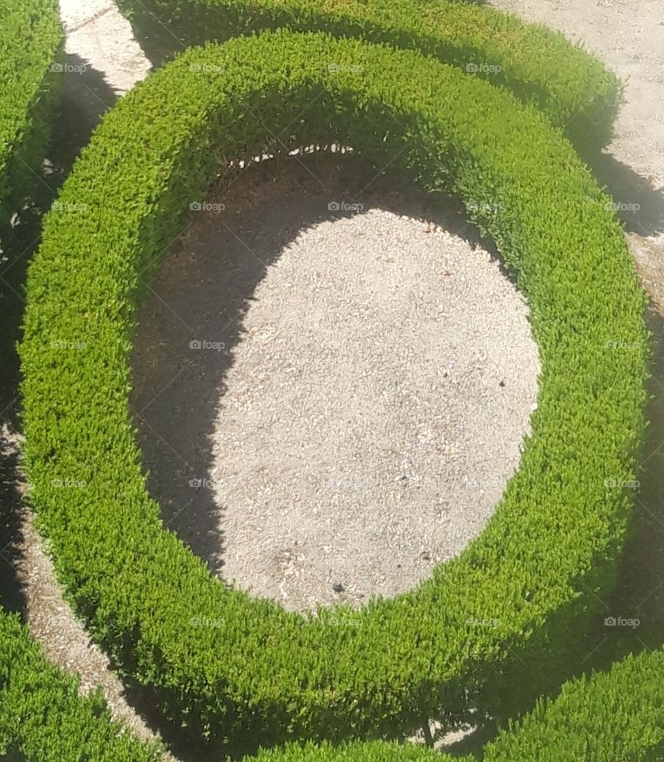 garden in the Royal palace of Sintra